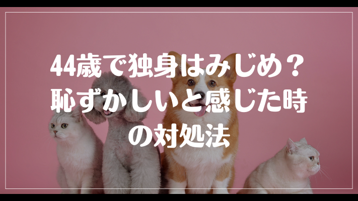 44歳で独身はみじめ？恥ずかしいと感じた時の対処法